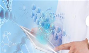 2024年模具市场现状深度调研分析(图3)