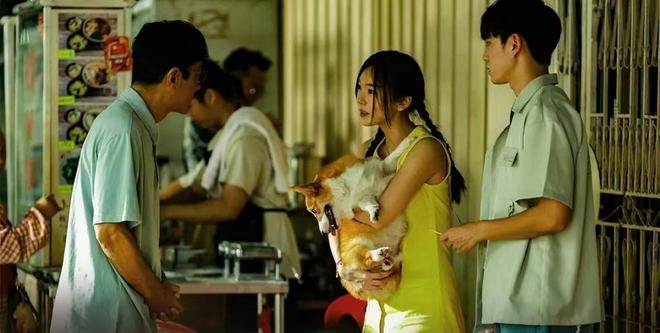 1500万成本《私家侦探》票房破4200万古天乐零宣发小赚一笔(图9)