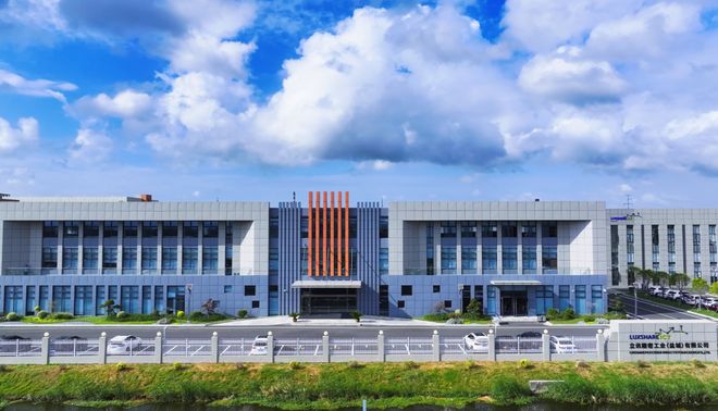 攀高向新射阳绘就产业发展新图景！(图4)